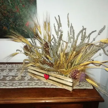 Nel Cuore Di *